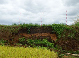 農地の斜面が崩壊した箇所を測量。